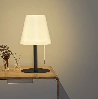 Efficient Portable Lamp: Saving Energy on the Go